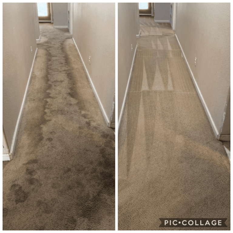 Carpet Cleaning Steam Master DFW Carpet Cleaning