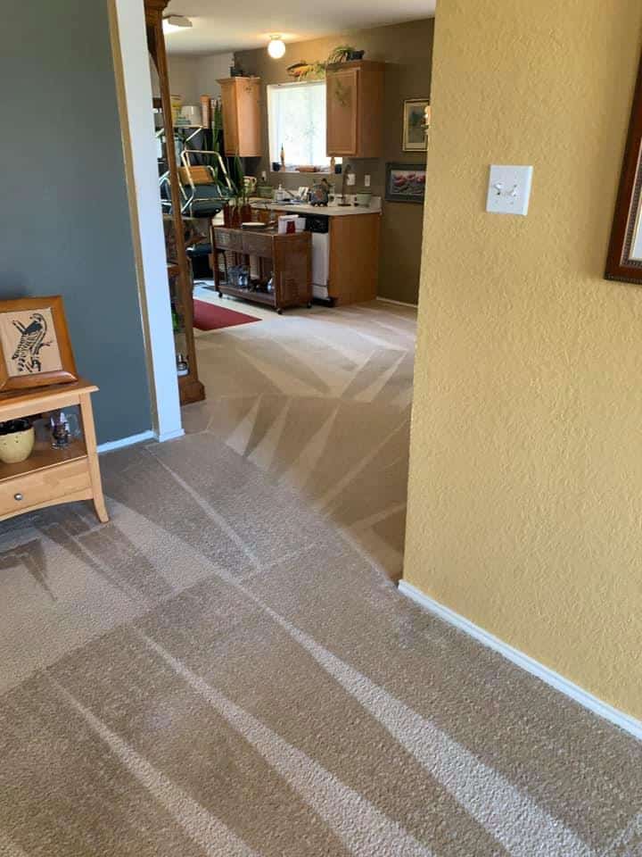Forest Hill, TX Cleaned two areas and a hallway. Customer was very satisfied.￼